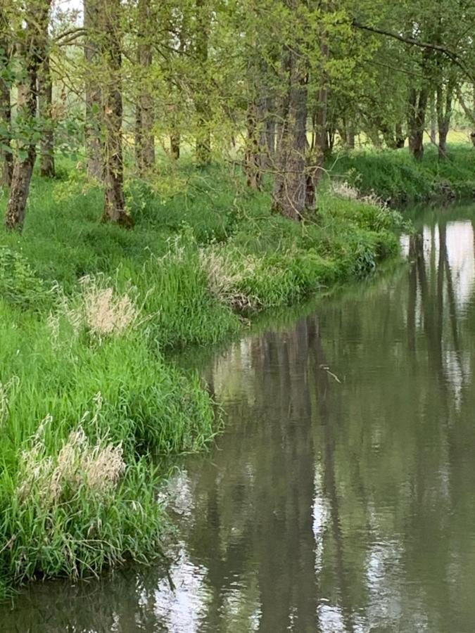 Moulin De Champrond -Montmirail -Sarthe Bed & Breakfast Eksteriør bilde