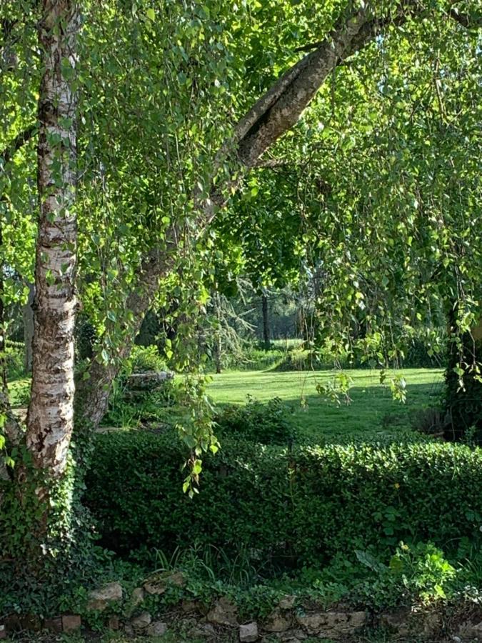 Moulin De Champrond -Montmirail -Sarthe Bed & Breakfast Eksteriør bilde