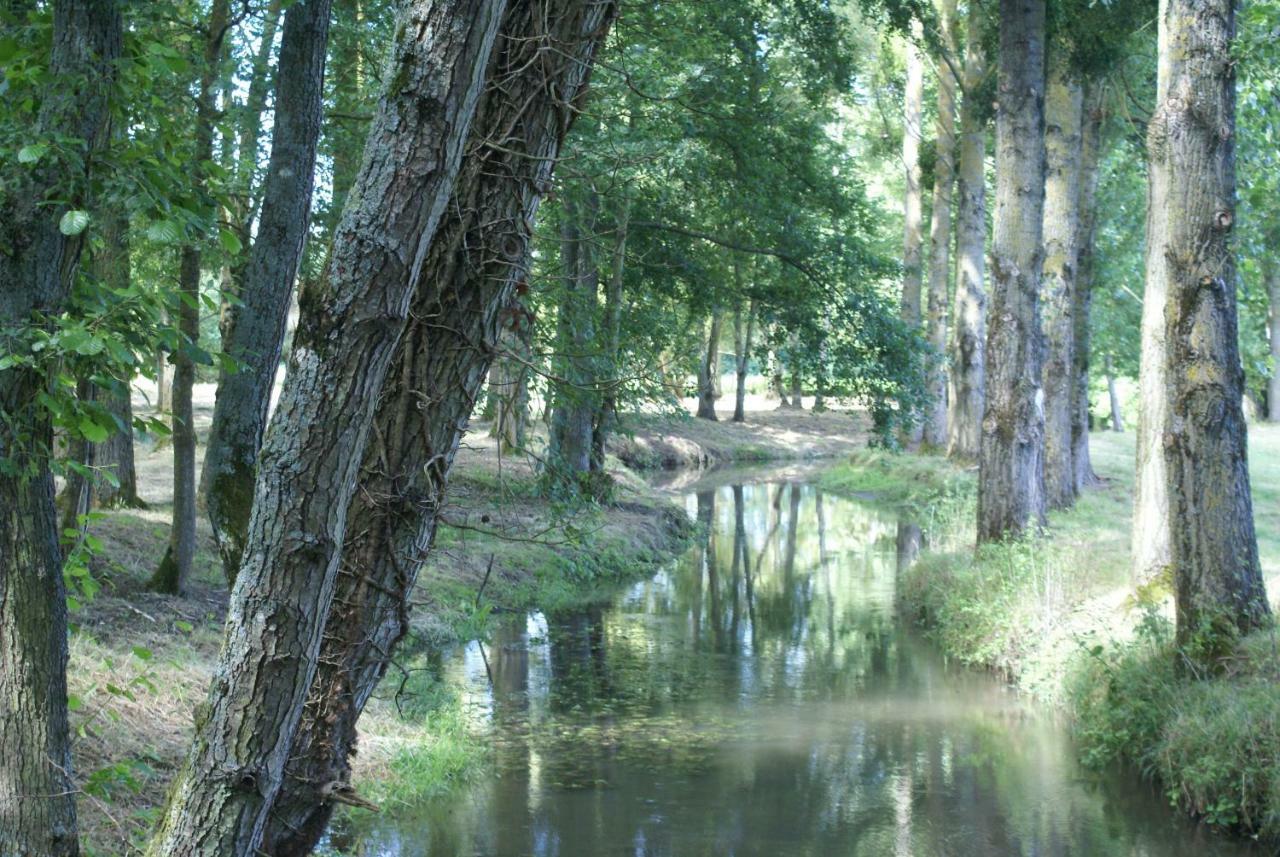 Moulin De Champrond -Montmirail -Sarthe Bed & Breakfast Eksteriør bilde