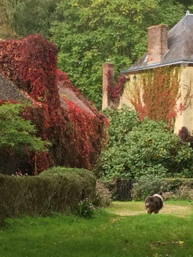 Moulin De Champrond -Montmirail -Sarthe Bed & Breakfast Eksteriør bilde